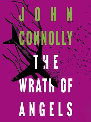 cover image of The Wrath of Angels